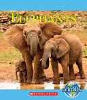 Elephants cover