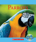 Parrots cover