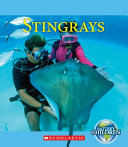 Stingrays cover