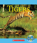 Tigers cover