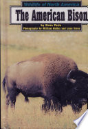 The American Bison cover