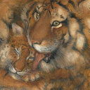 Little Lost Tiger cover