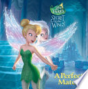 A Perfect Match cover