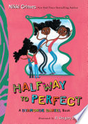 Halfway to Perfect: A Dyamonde Daniel Book cover