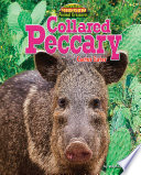 Collared Peccary: Cactus Eater cover