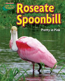 Roseate Spoonbill: Pretty in Pink cover