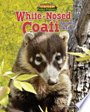White-Nosed Coati: Raccoon's Cousin cover
