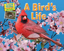 A Bird's Life cover