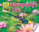 A Dragonfly's Life cover