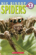 Spiders cover