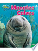 Manatee Calves cover