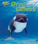 Orca Calves cover