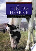 The Pinto Horse cover