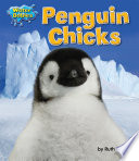 Penguin Chicks cover