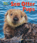 Sea Otter Pups cover