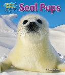 Seal Pups cover