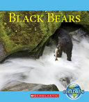 Black Bears cover