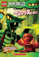 Snake Attack! cover