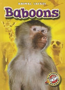 Baboons cover