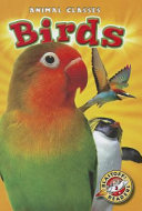 Birds cover