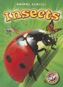 Insects cover