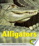 Alligators cover