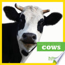 Cows cover
