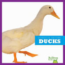 Ducks cover