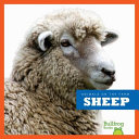 Sheep cover