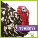 Turkeys cover