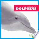 Dolphins cover