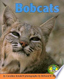Bobcats cover