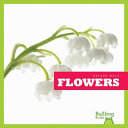 Flowers cover