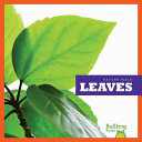 Leaves cover