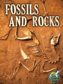 Fossils and Rocks cover