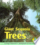 Giant Sequoia Trees cover