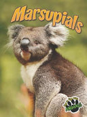 Marsupials cover