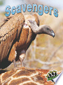 Scavengers cover