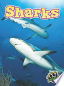 Sharks cover