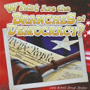 What Are the Branches of Democracy? cover