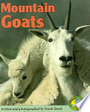 Mountain Goats cover