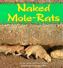 Naked Mole-Rats cover
