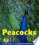 Peacocks cover