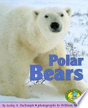 Polar Bears cover