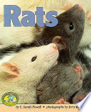 Rats cover