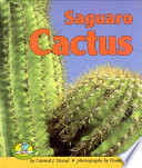 Saguaro Cactus cover