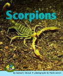 Scorpions cover