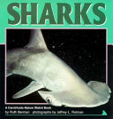 Sharks cover