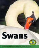 Swans cover