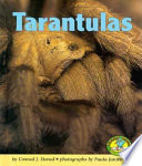 Tarantulas cover